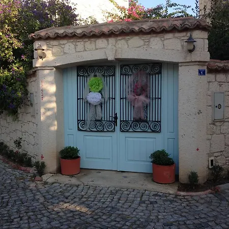 Incirliev - Special Category