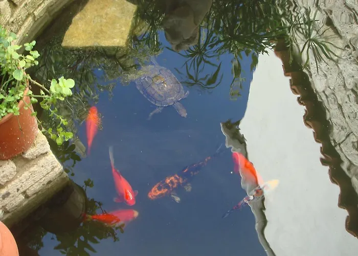 Incirliev - Special Category Отель