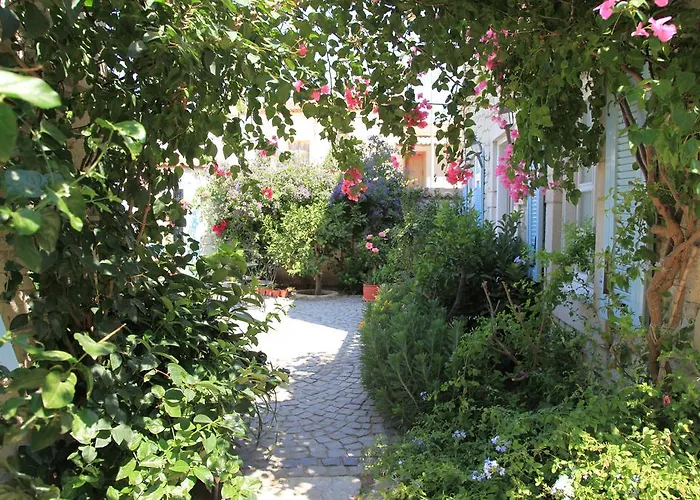 Incirliev - Special Category 2*