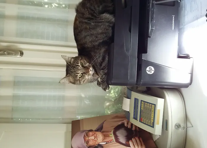 Incirliev - Special Category 2* Алачати