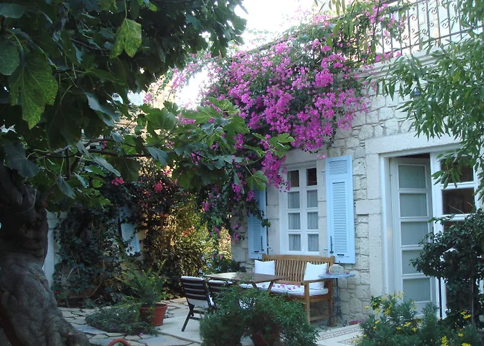 Incirliev - Special Category Отель 2*