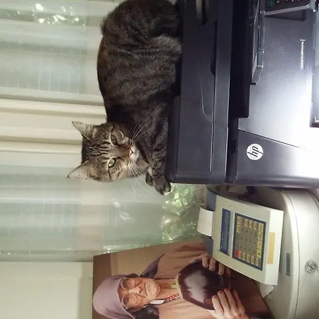 Incirliev - Special Category 2* Alaçatı